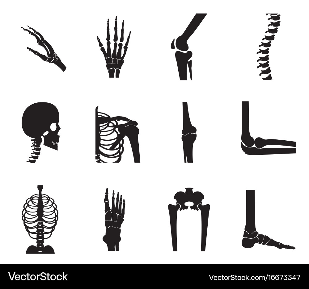 Orthopädische und Rücken-Ikone auf weißem Hintergrund Vektorbild