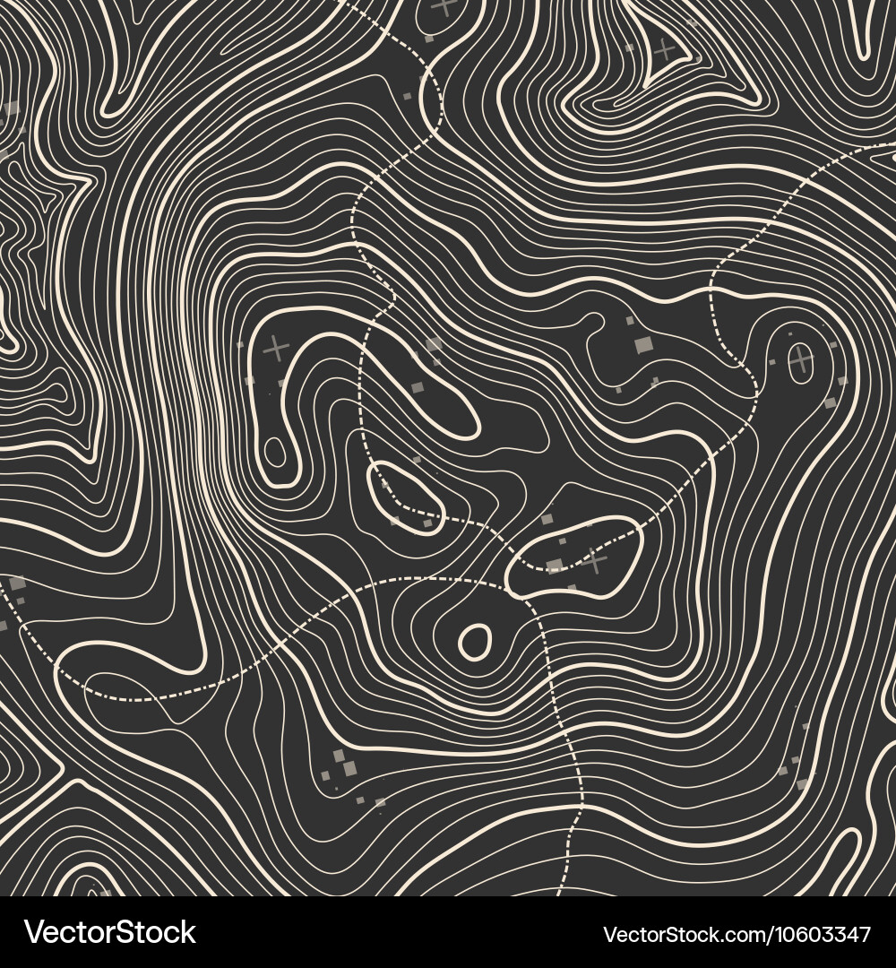 Topographic Map Concept Vector Image