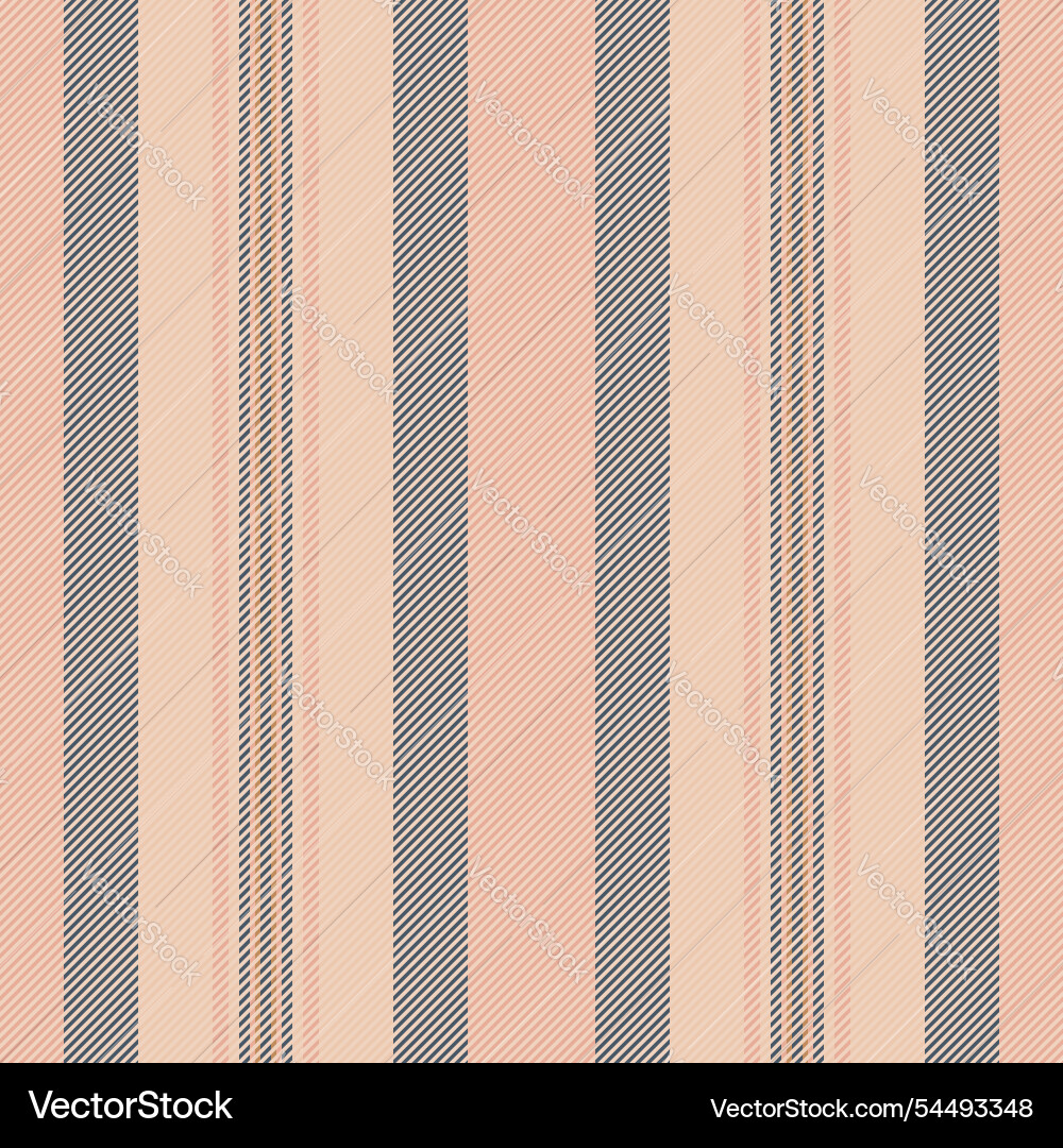 Creation textile fabric pattern structure stripe Vector Image