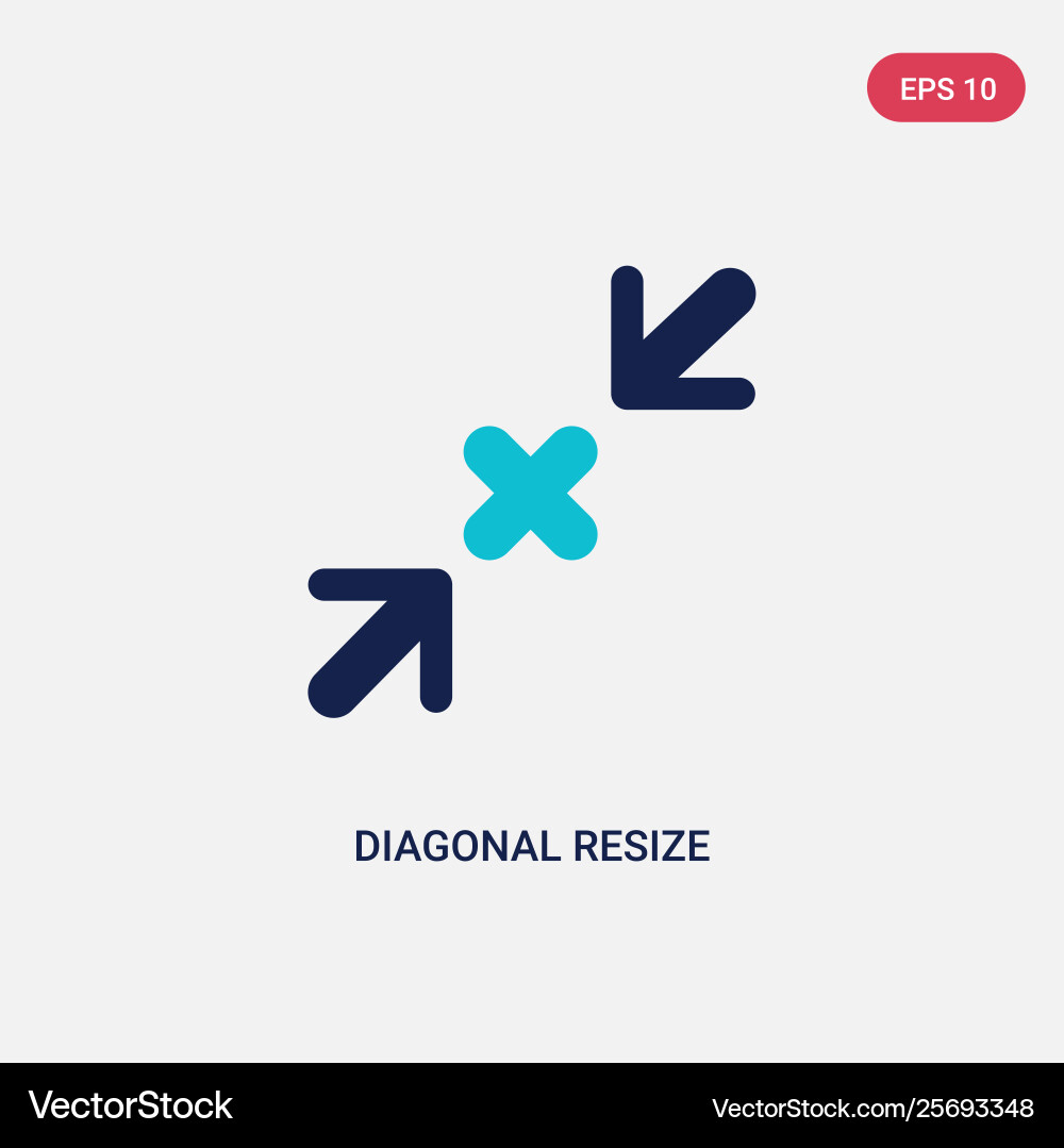 Two color diagonal resize icon from arrows Two color diagonal resize icon from arrows vector image