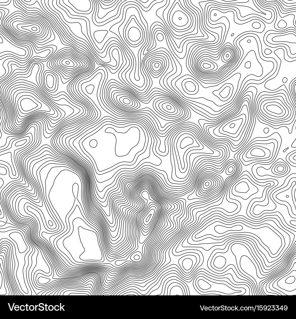 Seamless pattern topographic map background vector image