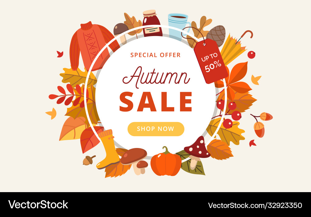 Autumn sale banner with leaves and elements vector image