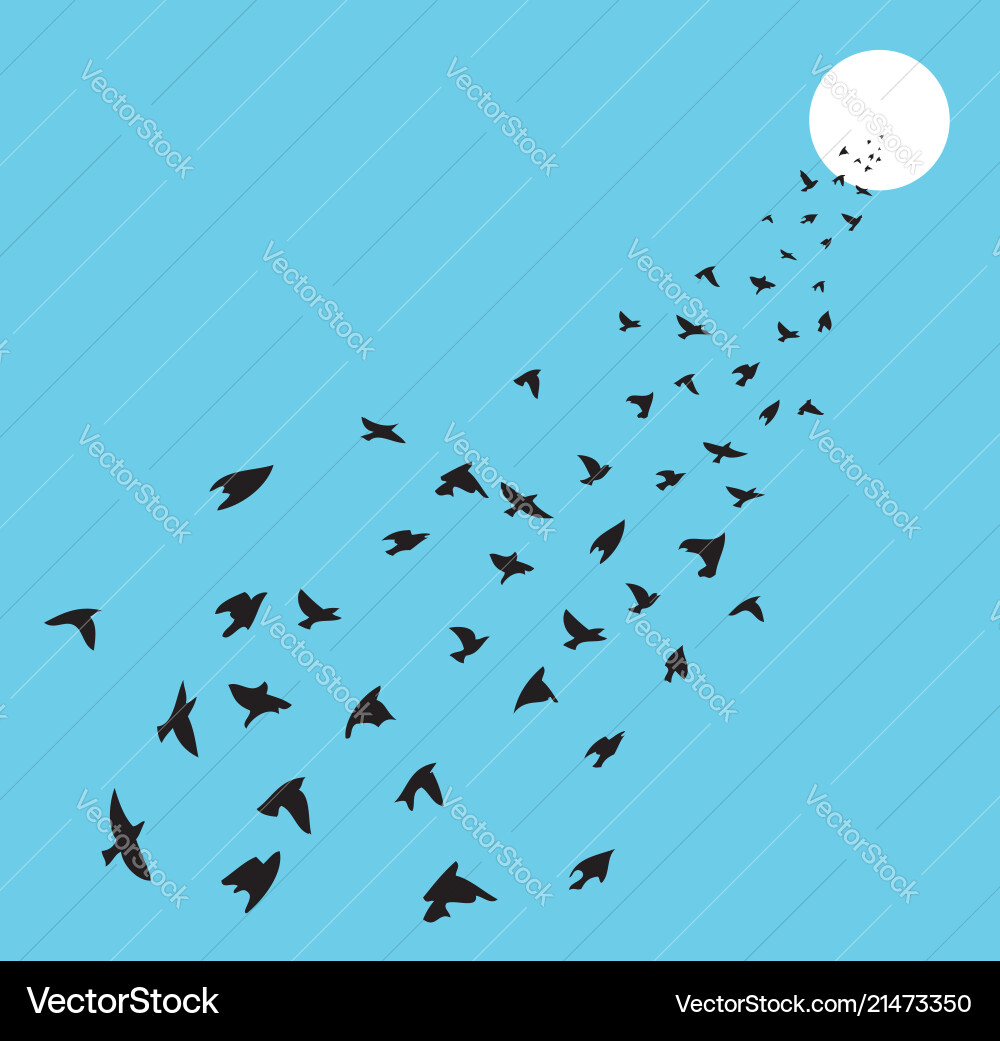 Flock of many birds flying towards sun Flock of many birds flying towards sun vector image