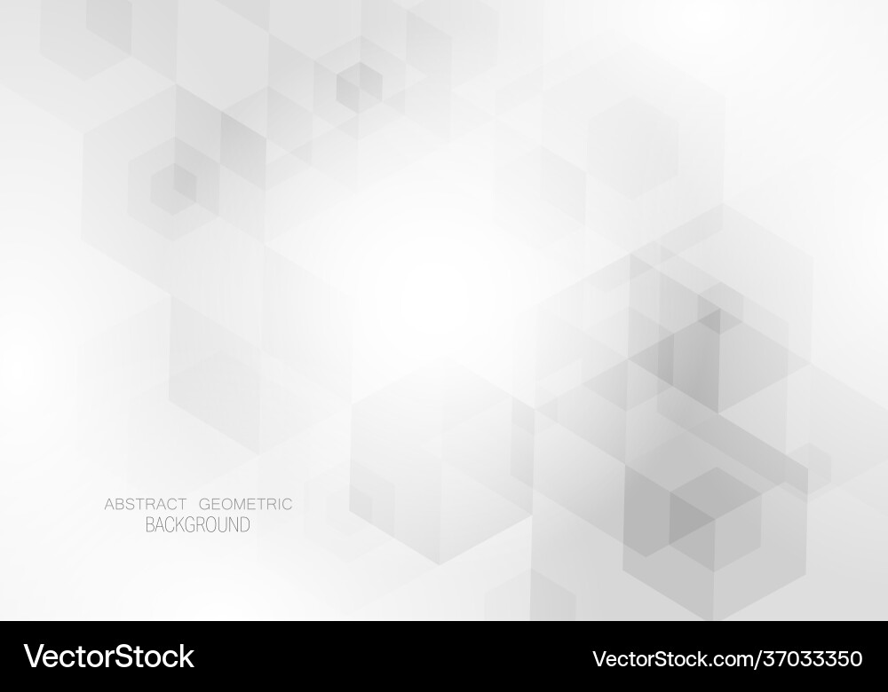 Gray Hexagon Pattern Background vector image