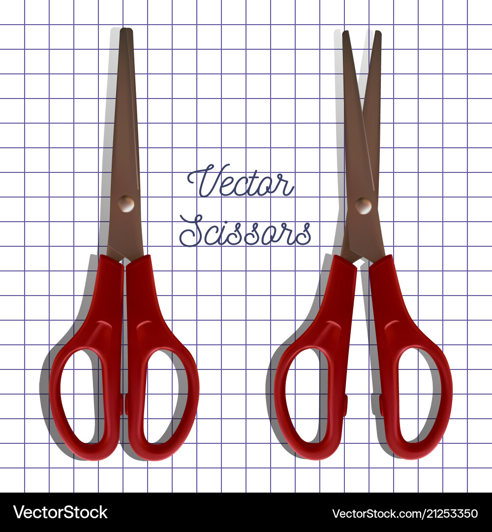 Scissors on paper background Vector Image