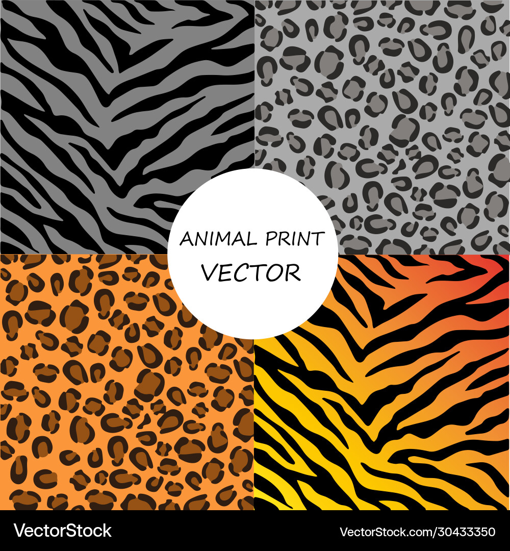 Seamless set zebra pattern Seamless set zebra pattern Vector Image