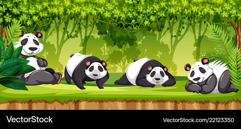 Set of pandas in jungle Vector Image