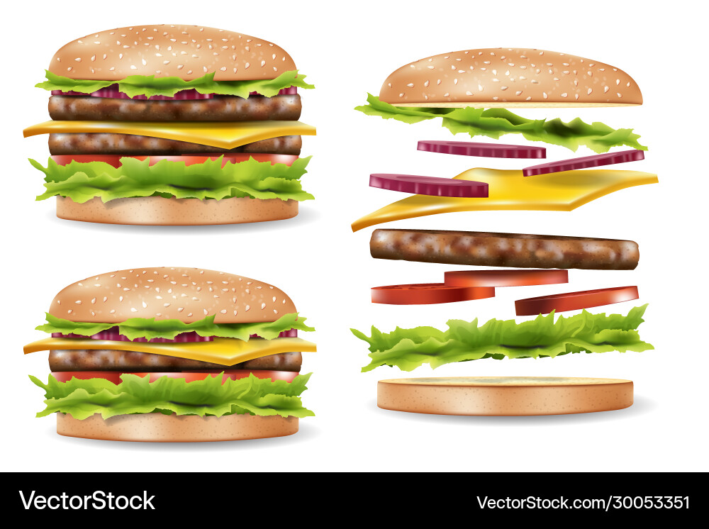 Burger ads for your design delicious hamburger Burger ads for your design delicious hamburger vector image