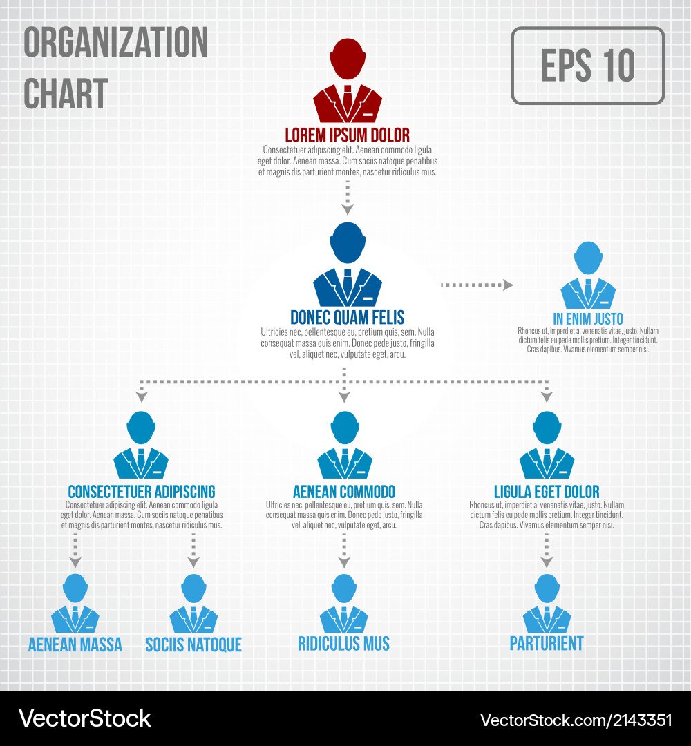 Hierarchy Business Structure Chart vector image