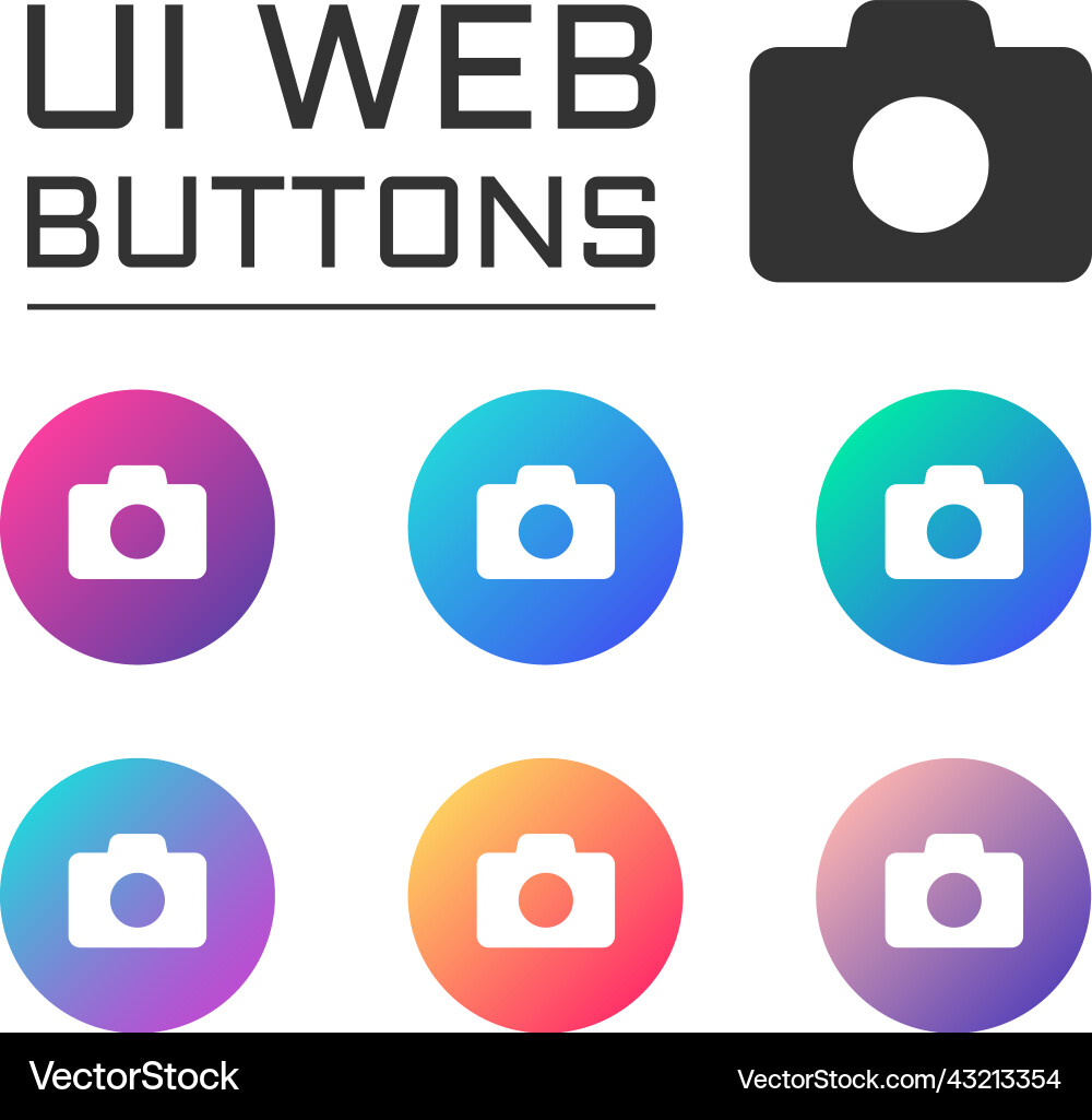 Camera photo account ui web button Camera photo account ui web button vector image