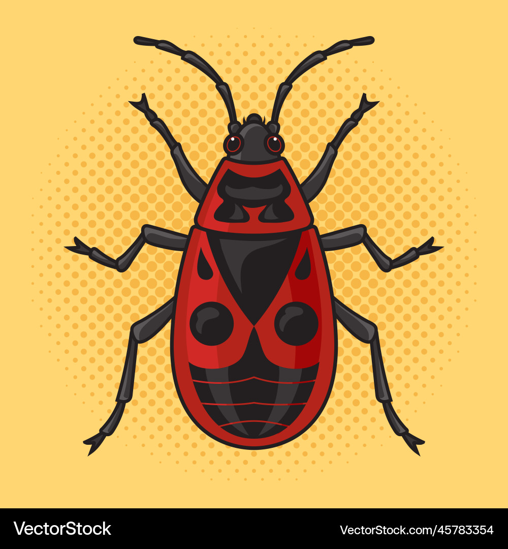 Firebug beetle bug pop art Firebug beetle bug pop art Vector Image