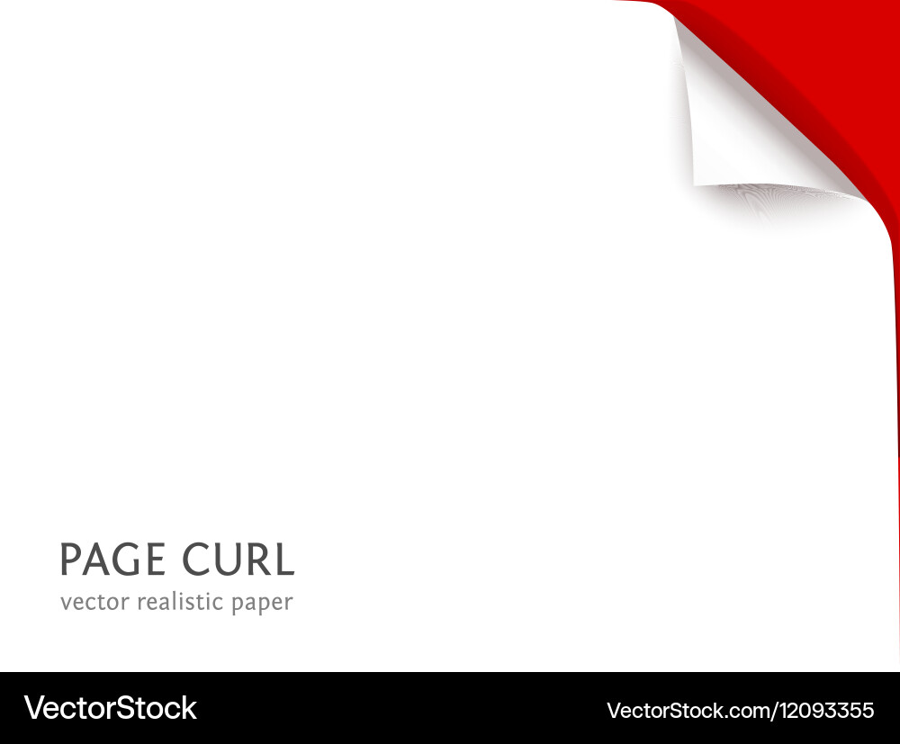 Paper Sheet with Curl vector image