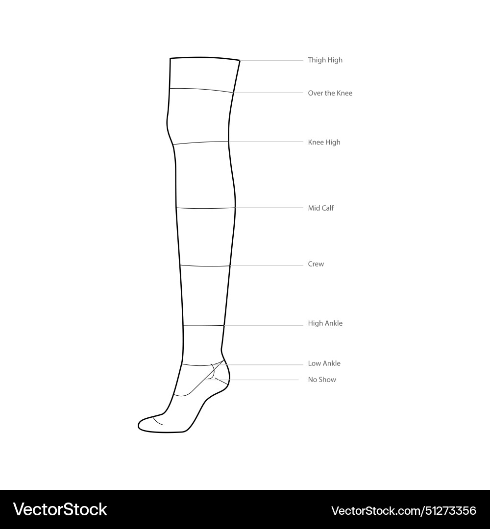 Diagrams of sock length with text names hosiery Diagrams of sock length with text names hosiery vector image