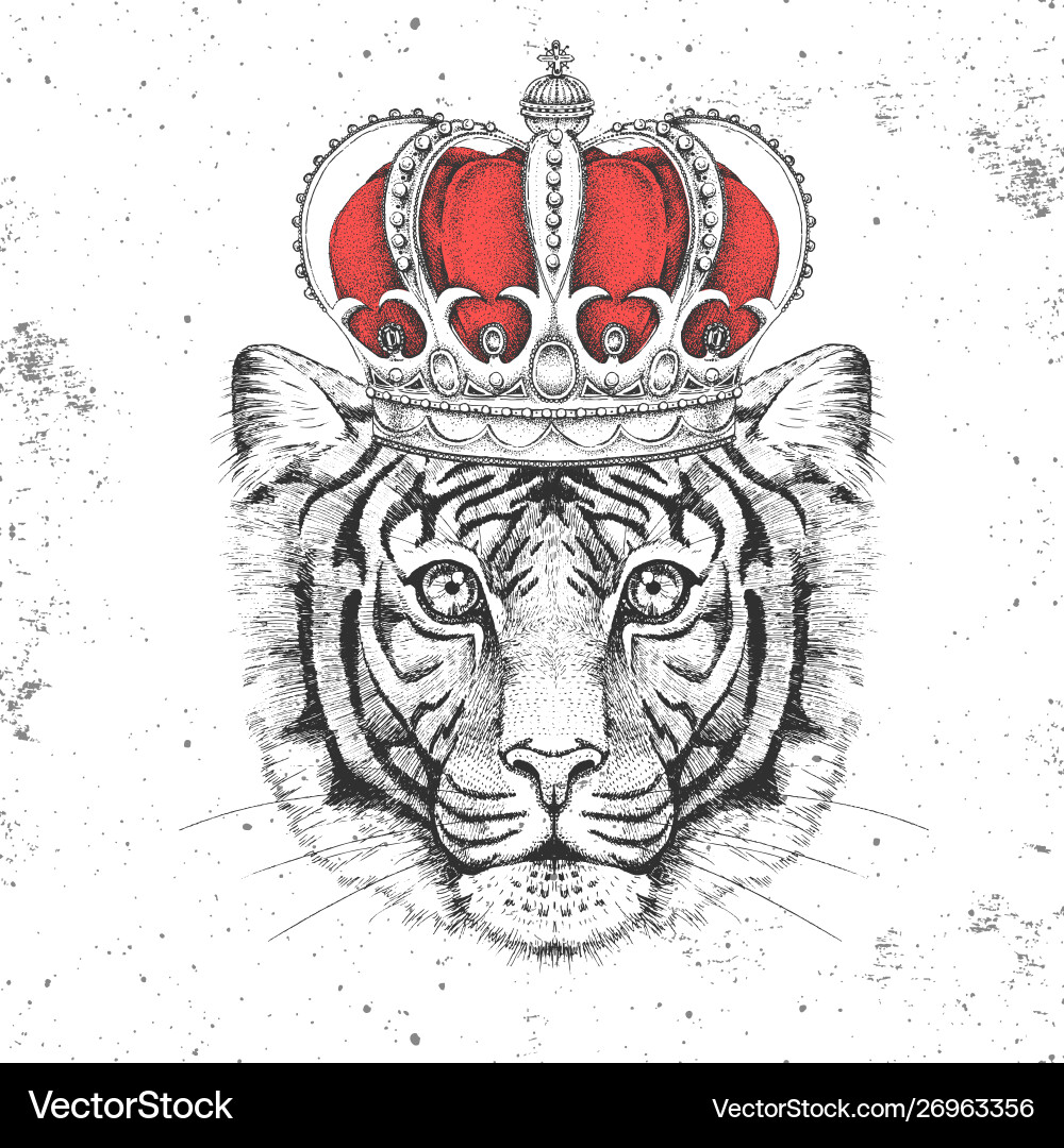 Hipster animal tiger in crown hand drawing muzzle Hipster animal tiger in crown hand drawing muzzle vector image