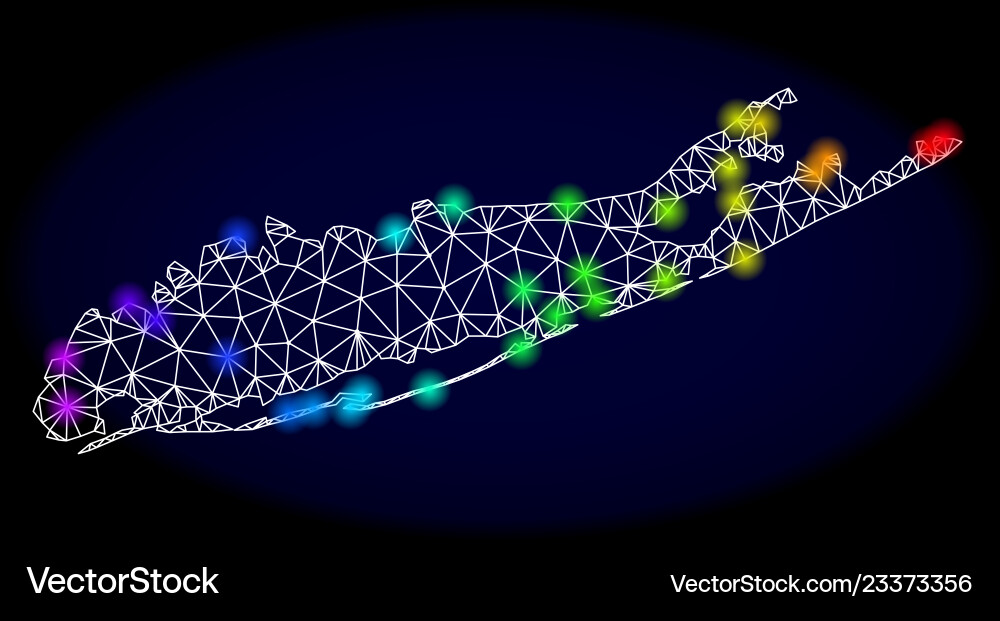 Polygonal network mesh map long island Polygonal network mesh map long island vector image