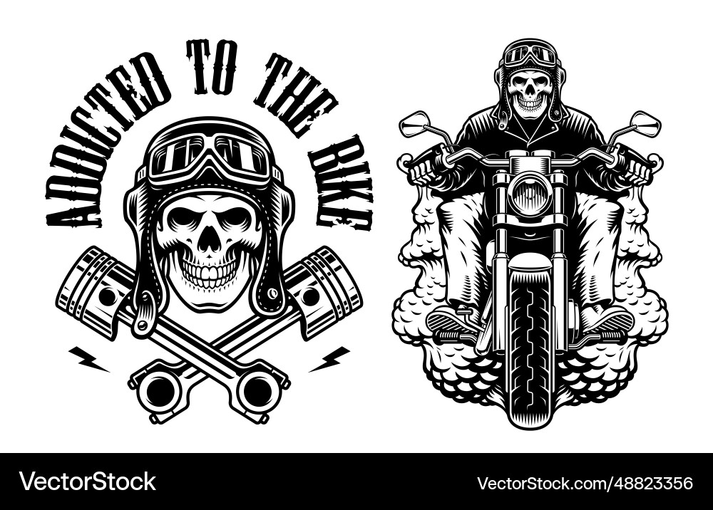 Skull Biker Collection Vector Image