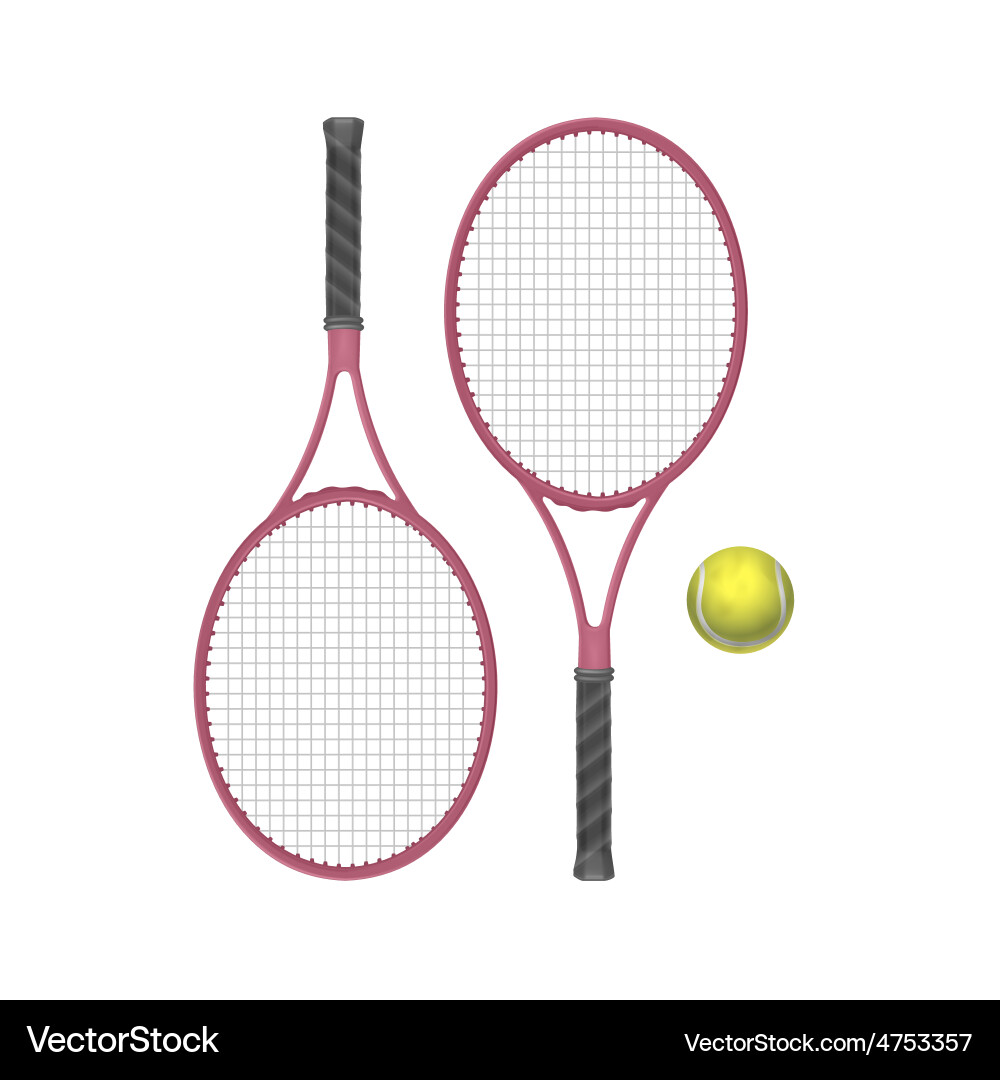 Tennis Rackets and Ball vector image