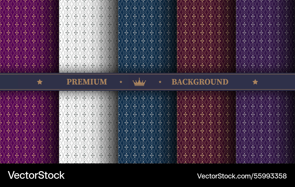 A luxurious pattern set of spectacular patterns A luxurious pattern set of spectacular patterns vector image