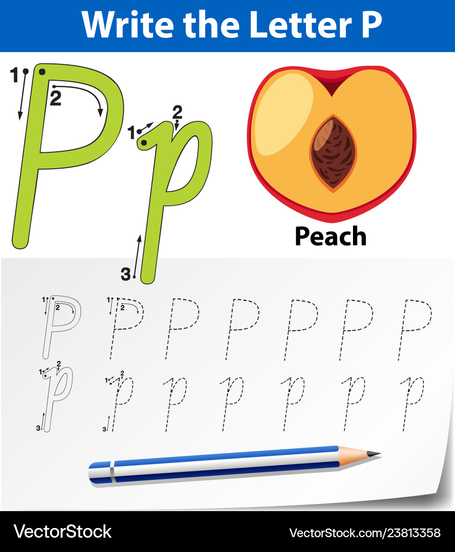 Brief P Verfolgung Alphabet Arbeitsblätter Brief P Verfolgung Alphabet Arbeitsblätter vektorbild