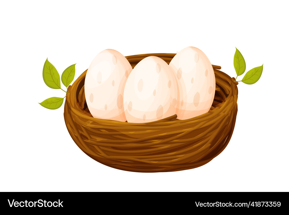 Bird nest from sticks with eggs decorated Bird nest from sticks with eggs decorated Vector Image
