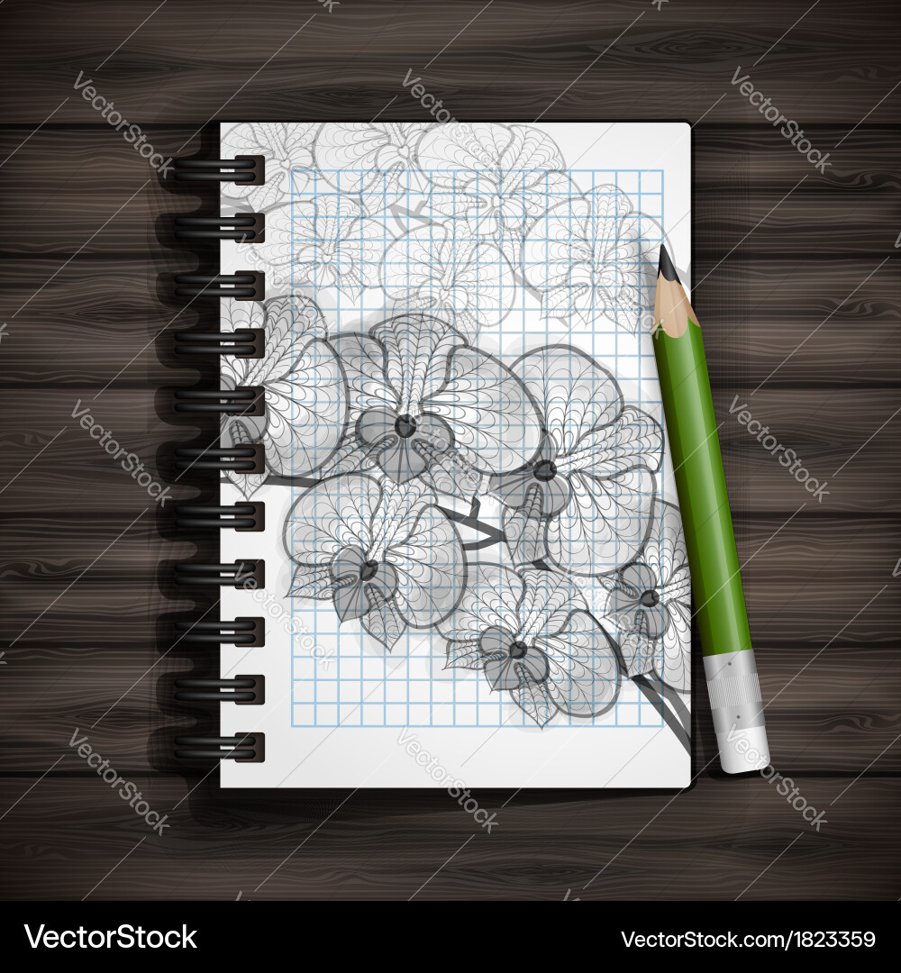 Set of hand drawn various elements Vector Image