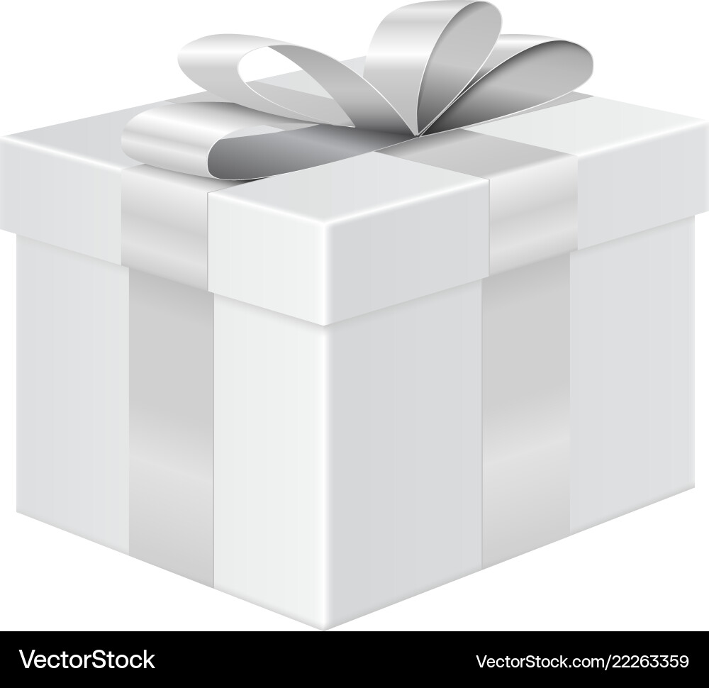 Silver Gift Box with Ribbon Mockup Vector Image