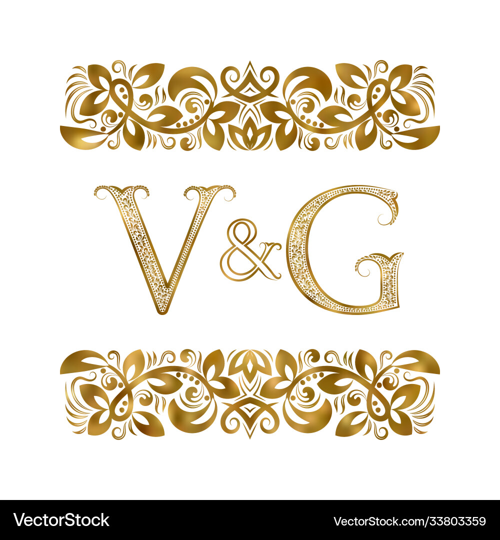 V and g vintage initials logo symbol letters V and g vintage initials logo symbol letters vector image