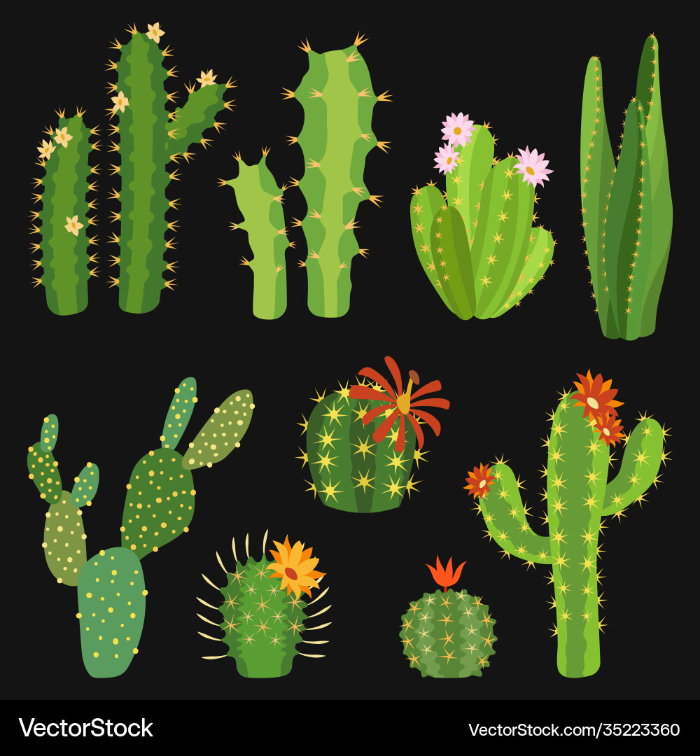 Exotic Cactus Flower Collection Vektorbild