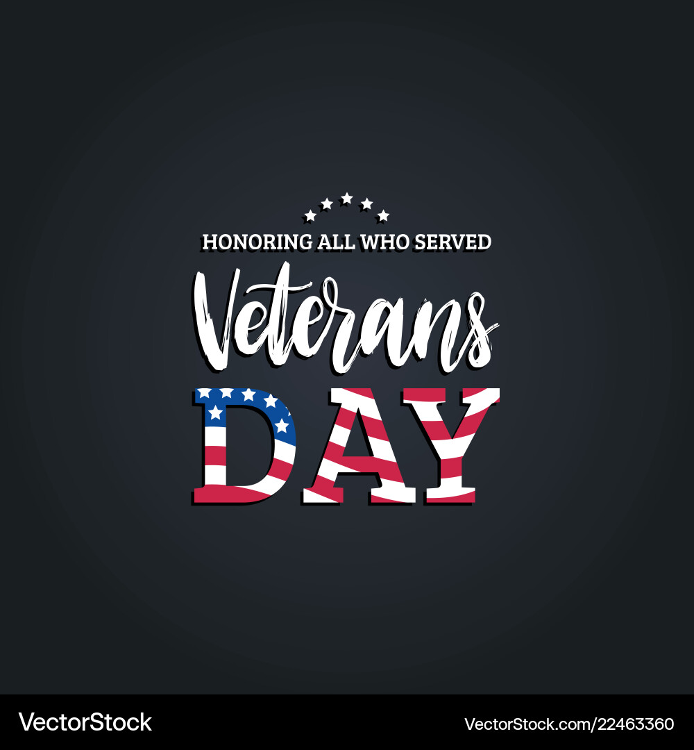 Veterans day hand lettering with usa flag Veterans day hand lettering with usa flag vector image