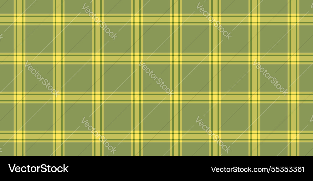 Empty plaid texture pattern quiet check Vector Image