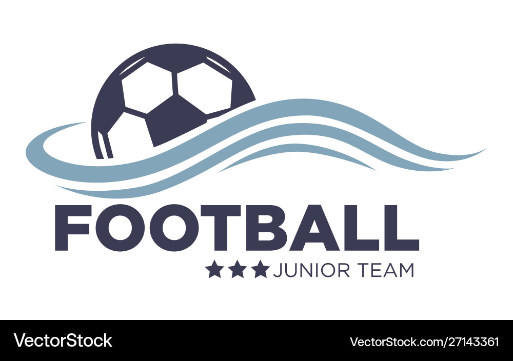 Football/Soccer Match Icon - Victory vector image