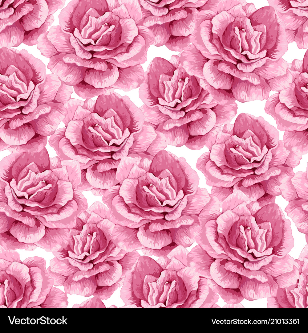 Rosenblüten Blütenblätter und Blätter in Aquarell Rosenblüten Blütenblätter und Blätter in Aquarell vektorbild