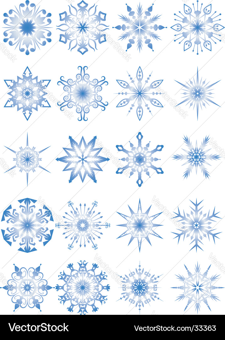 Elegant Snowflake Collection Vector Image