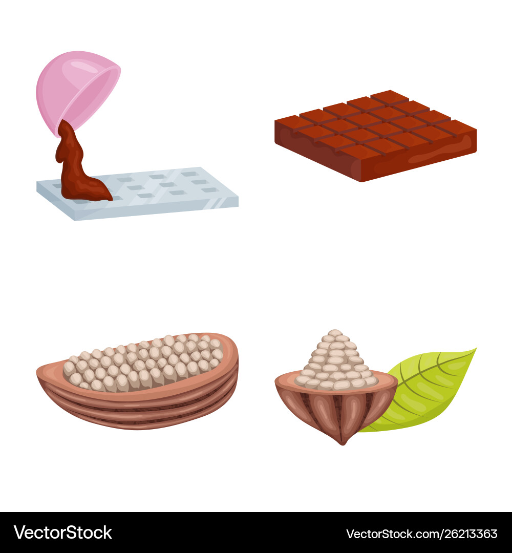 Isolated object cocoa and beans sign Vector Image