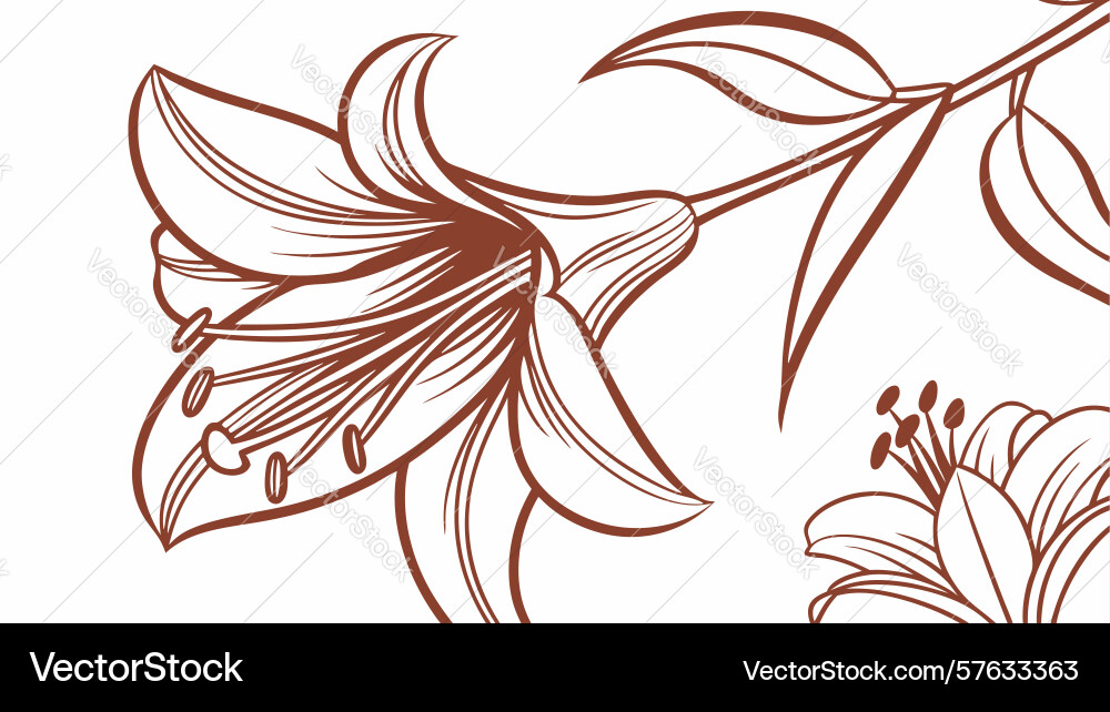 Two lilies with dynamic stems design generative Vector Image