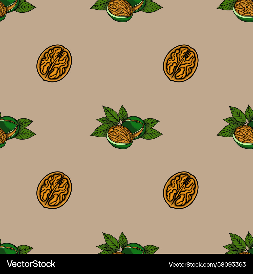 Walnut Pattern - Shells & Halves Vector Image