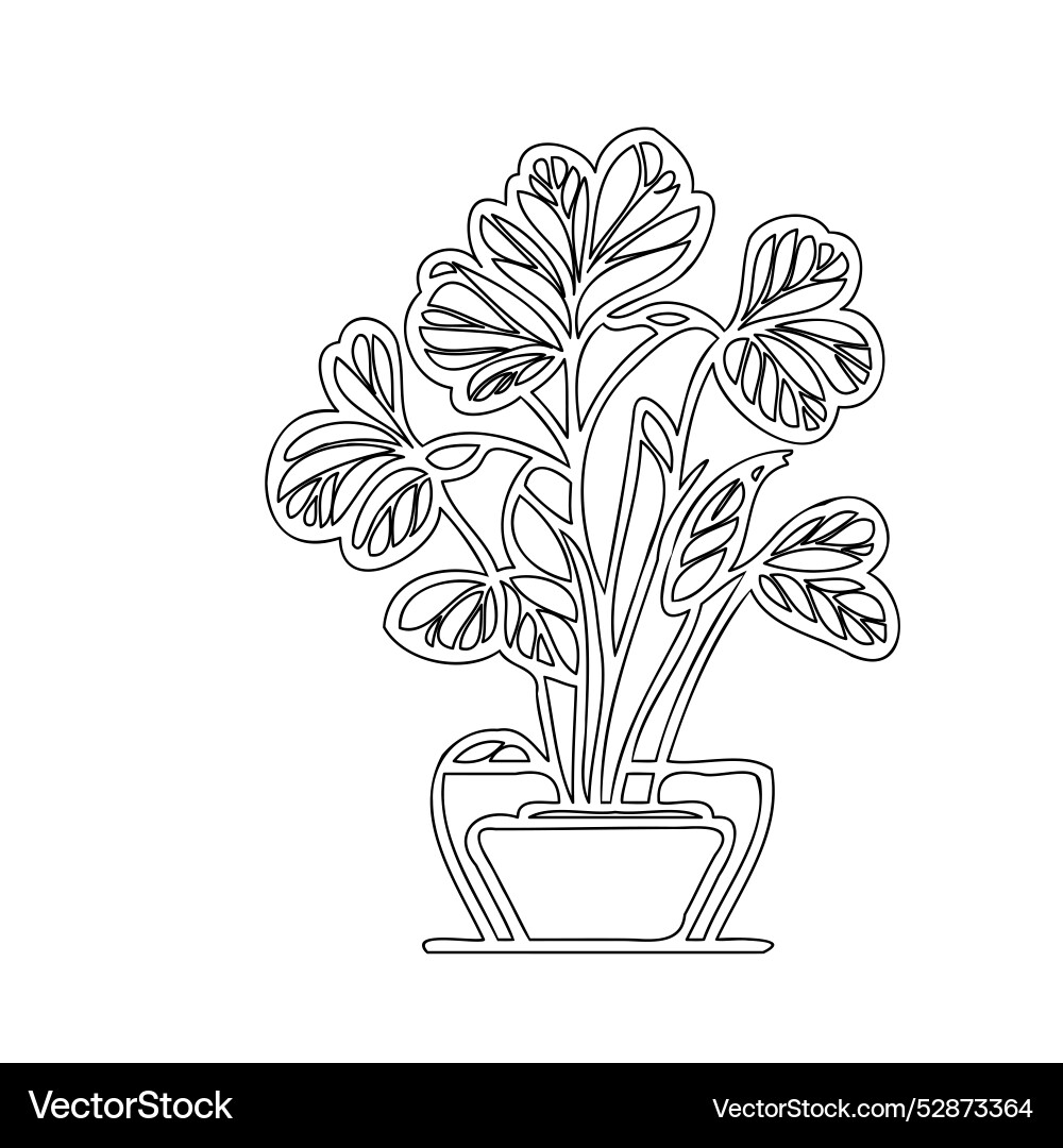 Geranium flower plant sketch outline Geranium flower plant sketch outline vector image