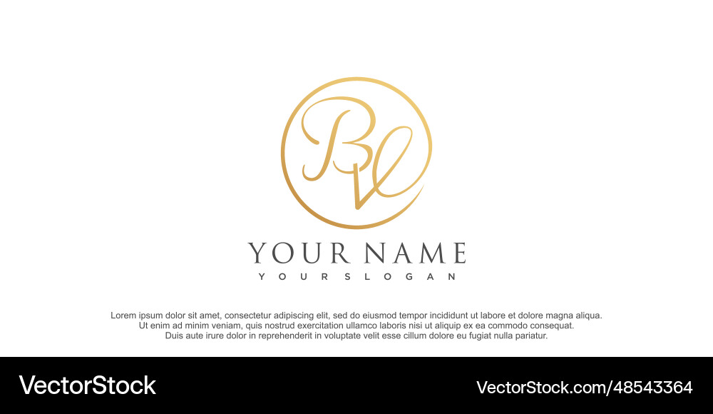 Initial b and v logo with abstract design Initial b and v logo with abstract design vector image