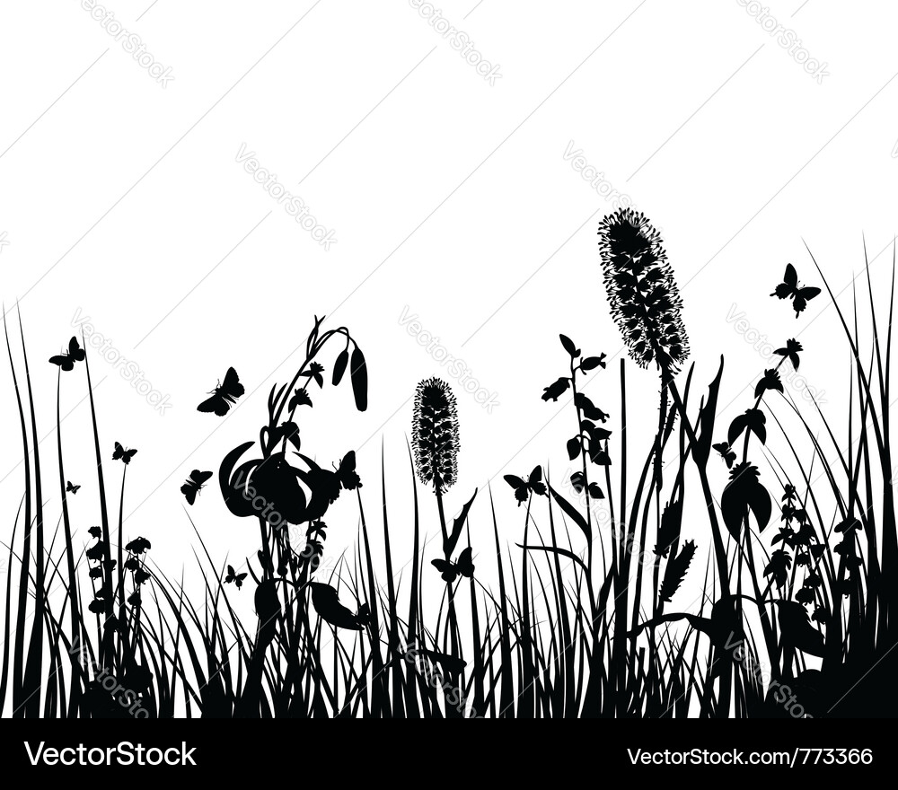 Grass silhouettes background Royalty Free Vector Image