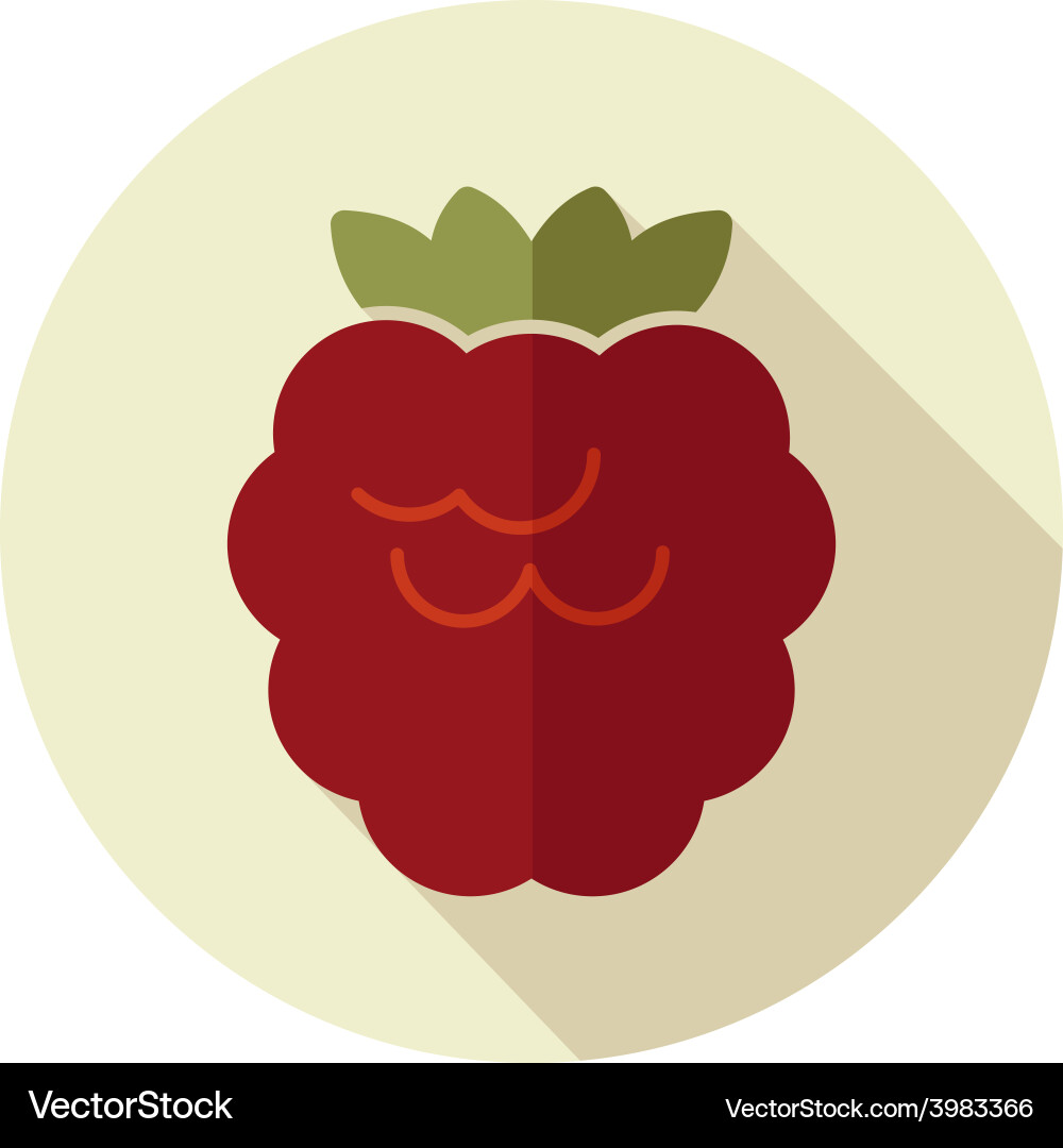 Raspberry Flat Icon - Red with Shadow vector image