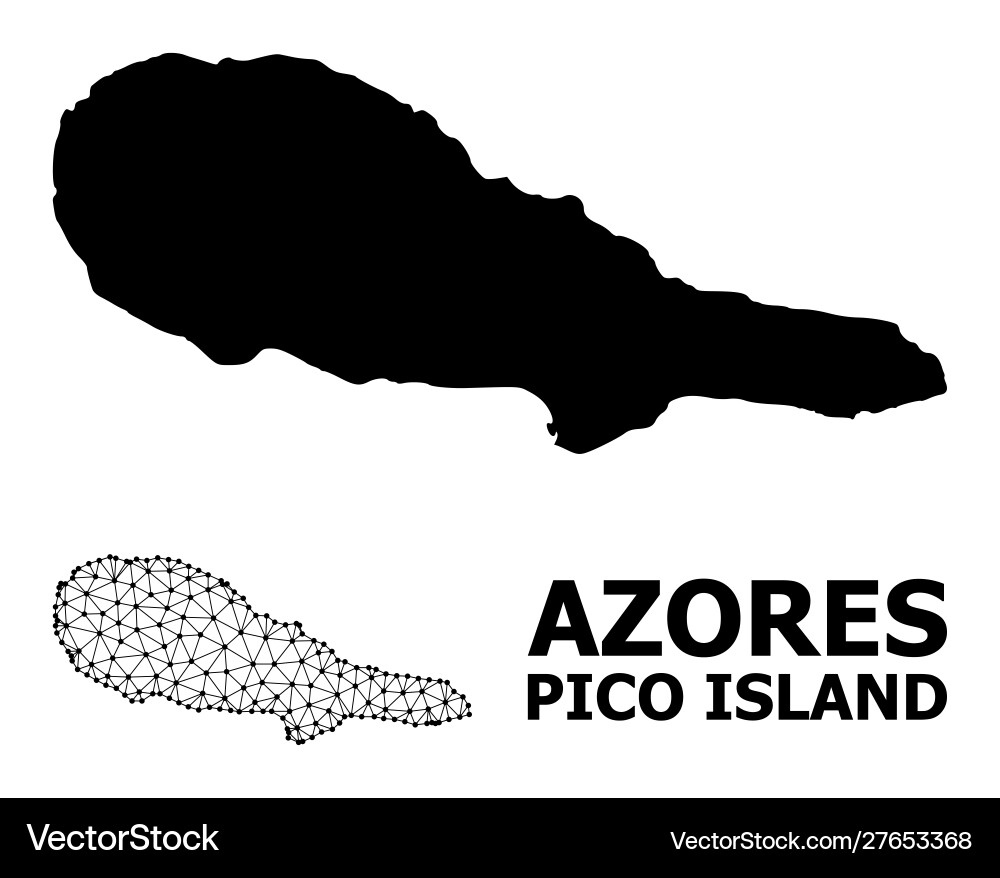 Solid and mesh map pico island Solid and mesh map pico island vector image