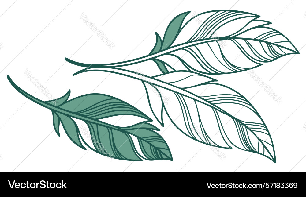 Elegant pair of feathers design generative ai vector image