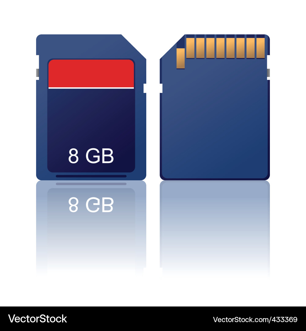 Memory Card Storage vector image