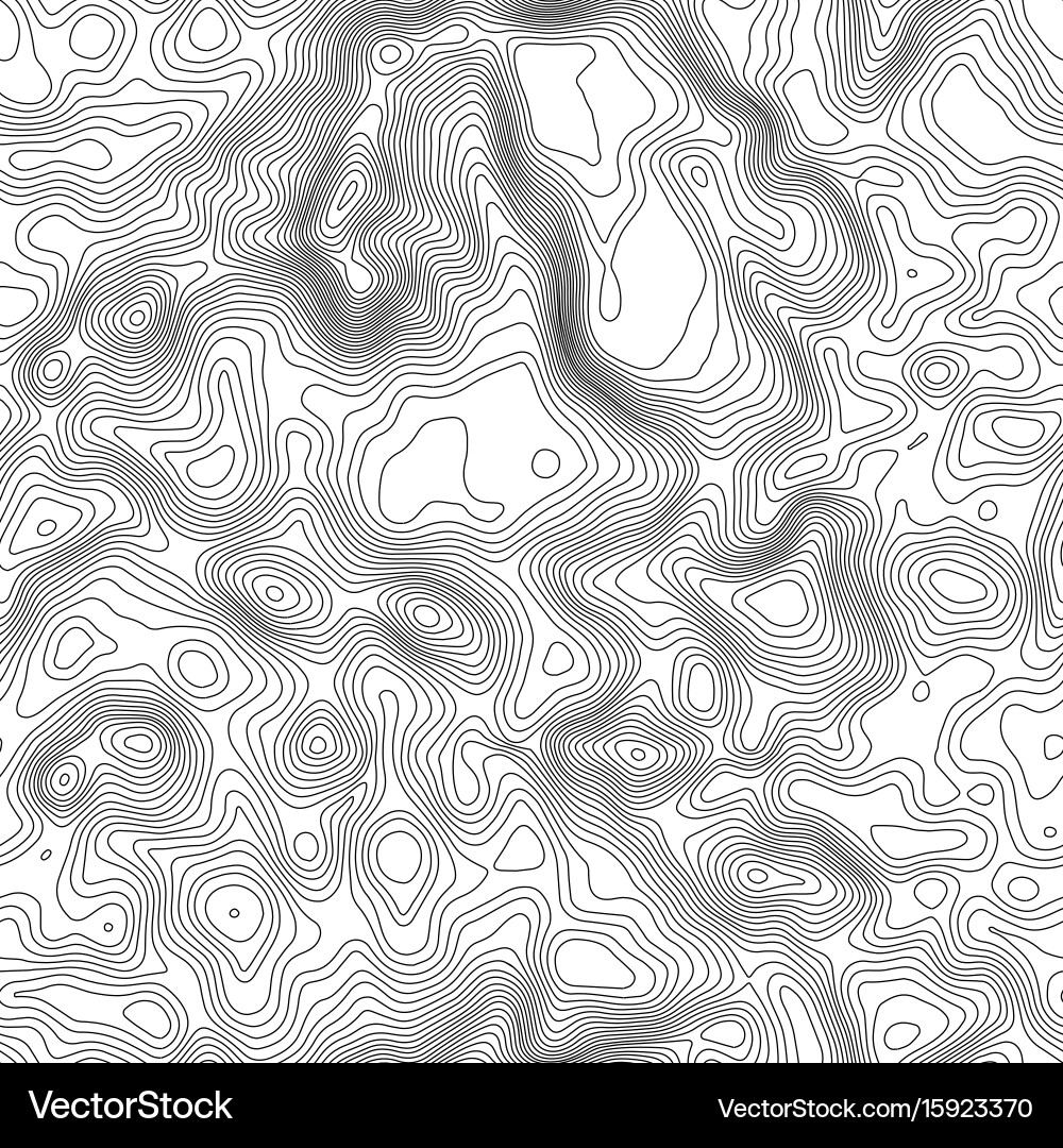 Seamless pattern topographic map background Vector Image