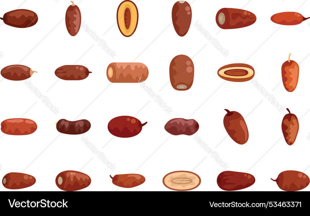 Set of dates fruit icons showing different sorts Set of dates fruit icons showing different sorts vector image