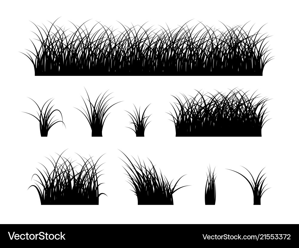 Grass silhouette elements isolated on white Grass silhouette elements isolated on white vector image