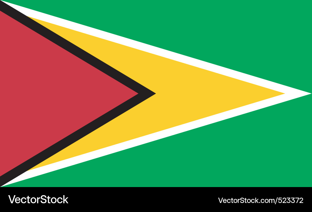 Guyanese Flag vector image
