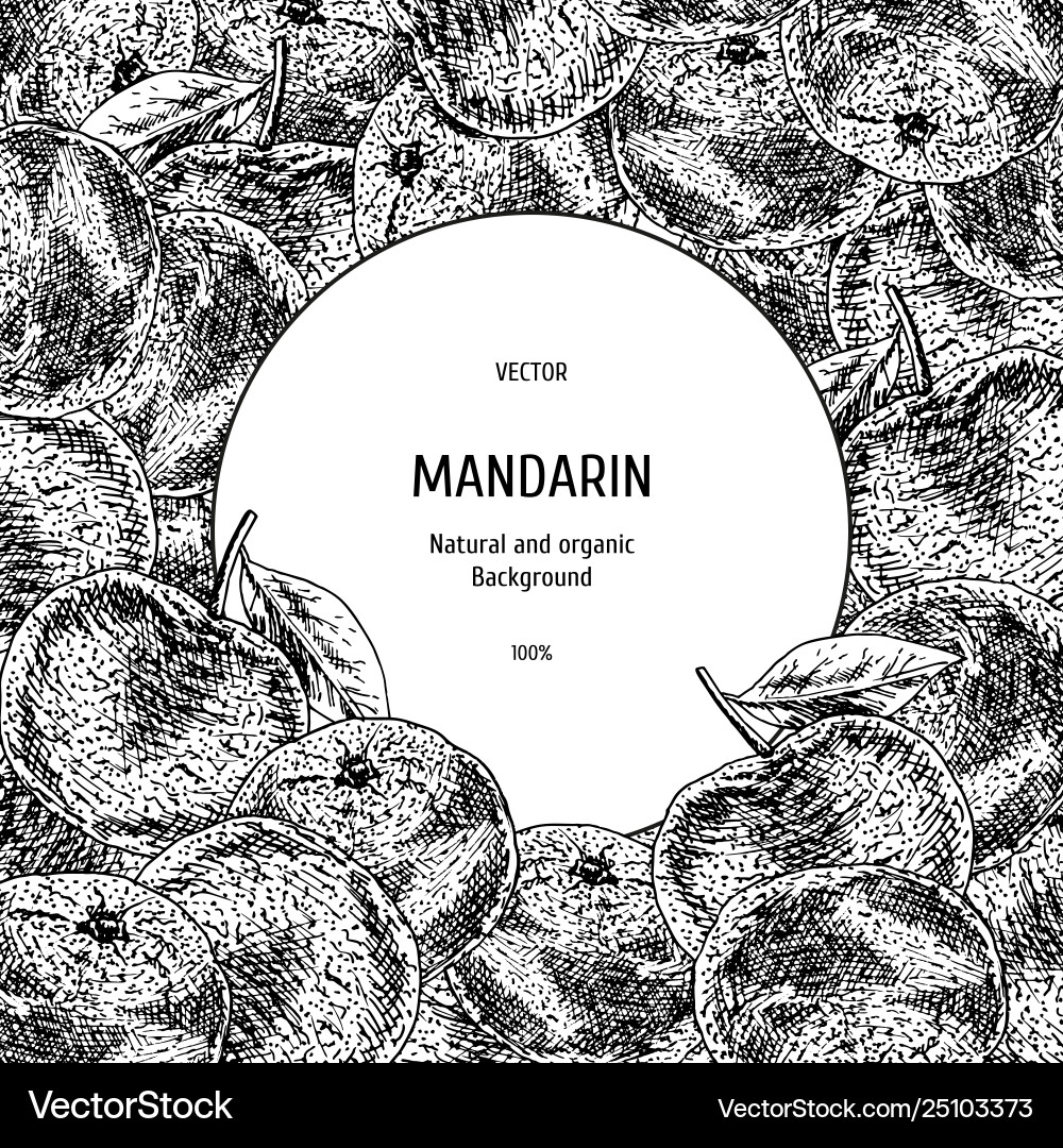 Hand drawn background with mandarin vintage Hand drawn background with mandarin vintage vector image
