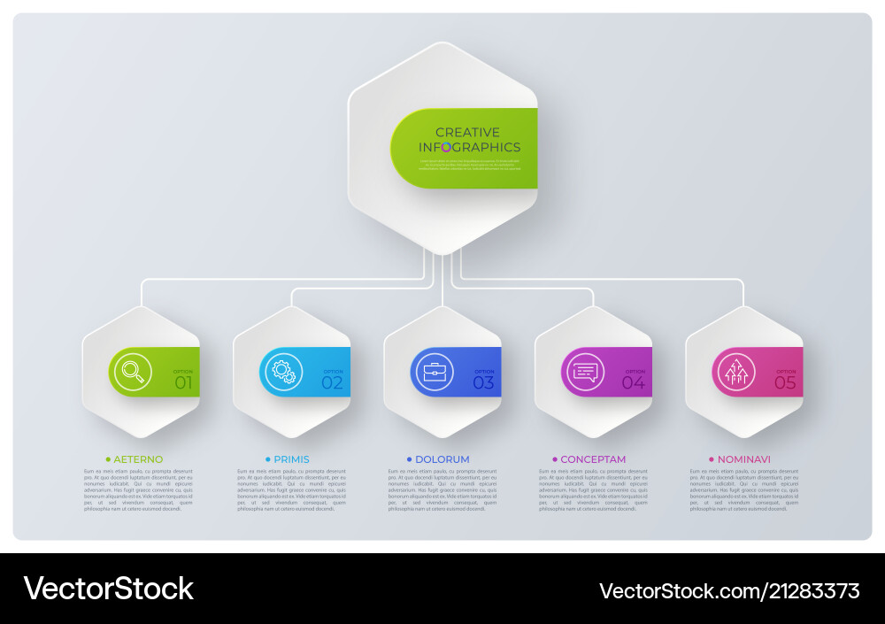 Modern style structure chart infographic design Modern style structure chart infographic design vector image
