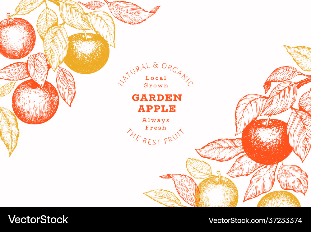Apple branch design template hand drawn garden Vector Image